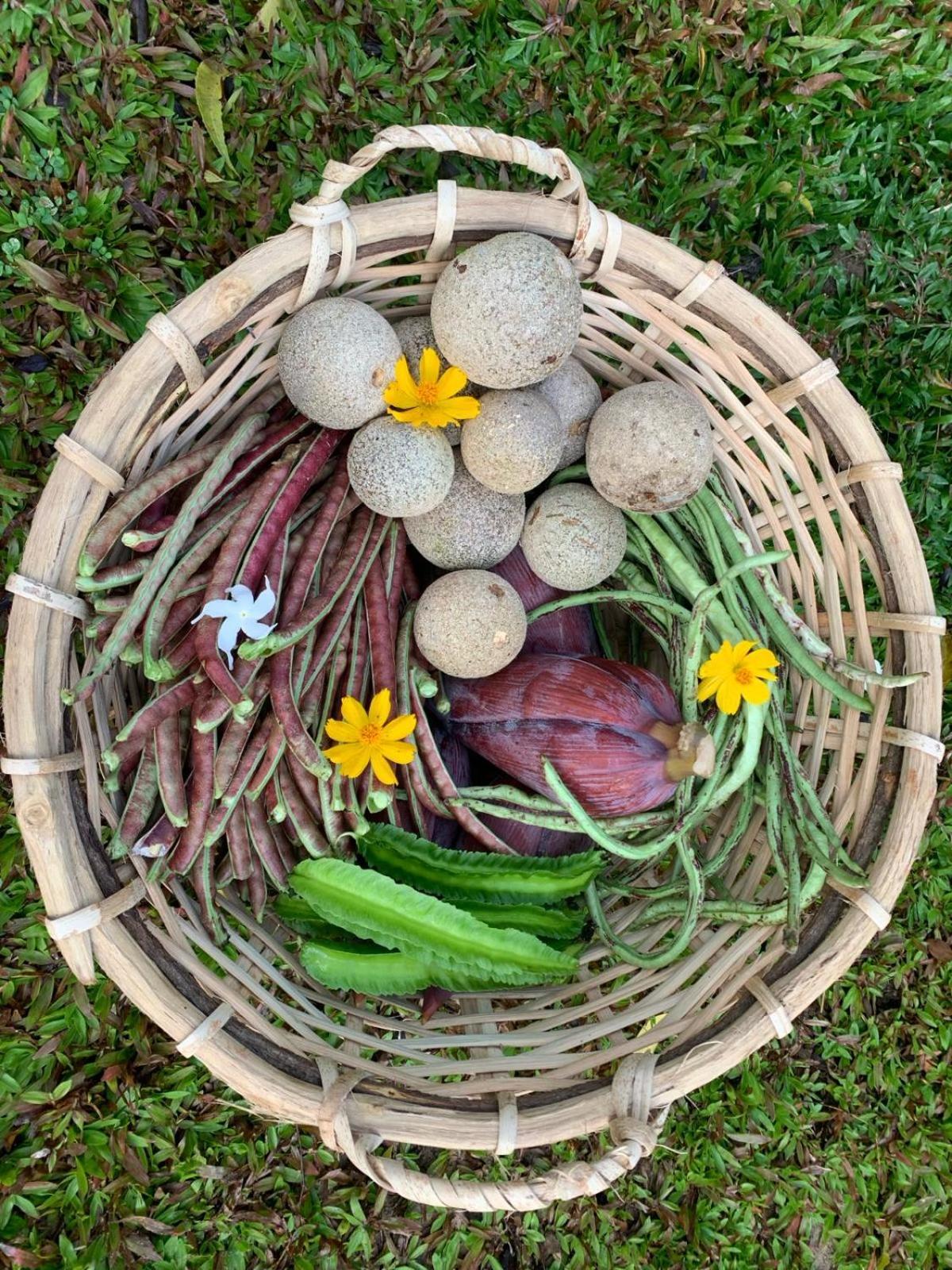 Sahana Retreat Buttala Екстериор снимка
