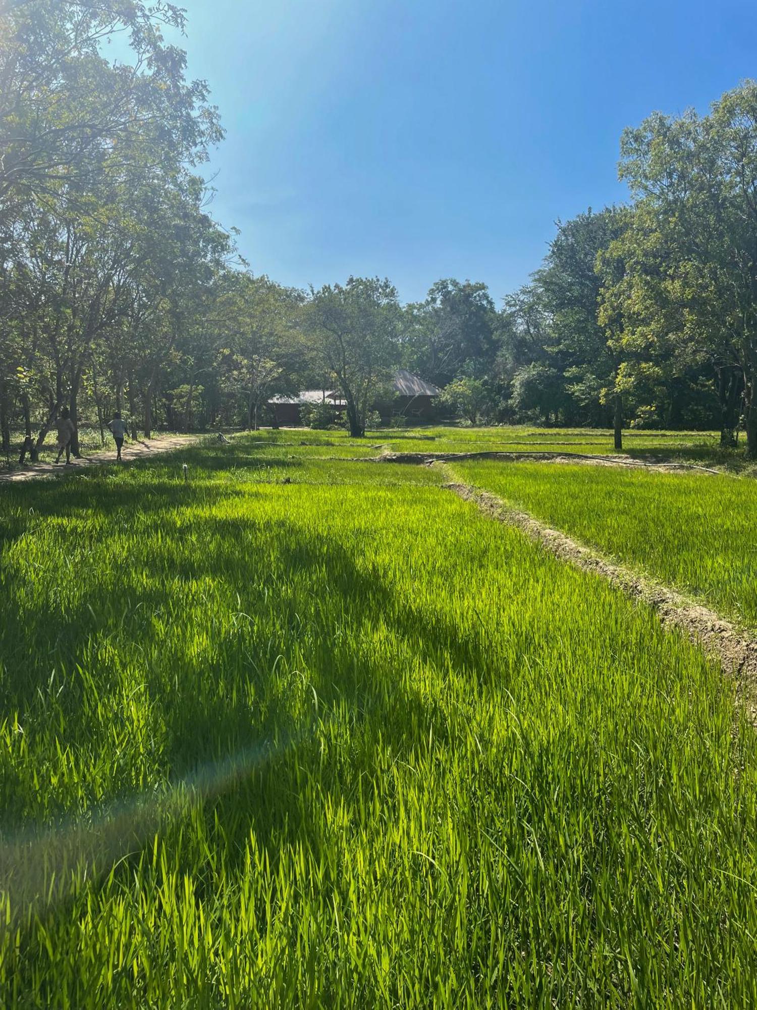Sahana Retreat Buttala Екстериор снимка