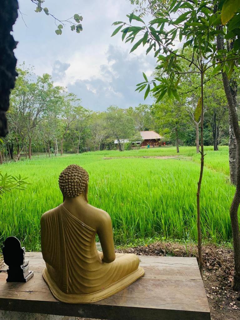 Sahana Retreat Buttala Екстериор снимка