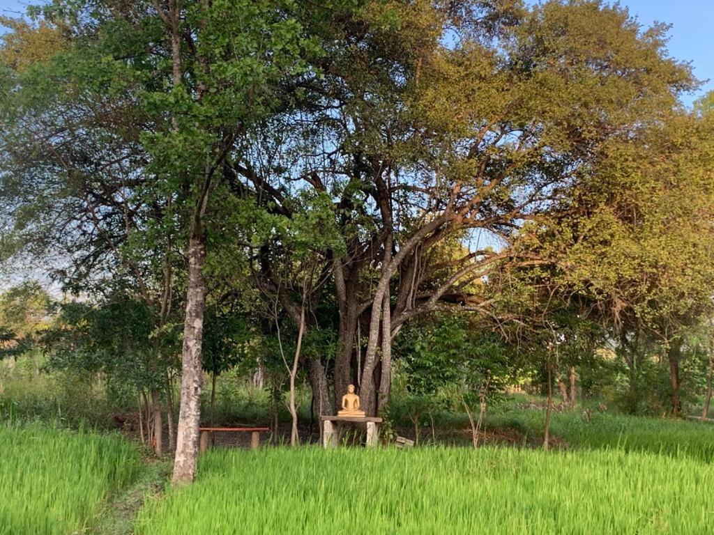 Sahana Retreat Buttala Екстериор снимка